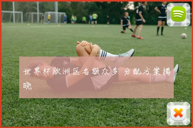 世界杯欧洲区名额众多 分配方案揭晓