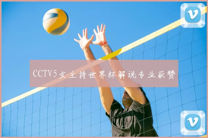 CCTV5女主持世界杯解说专业获赞