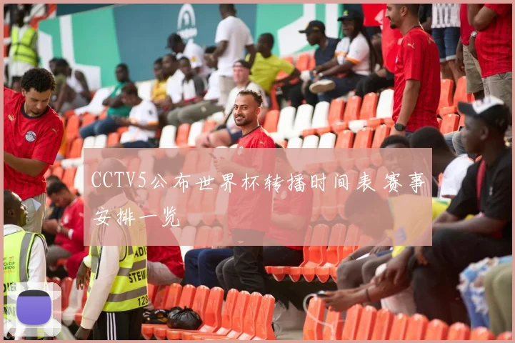 CCTV5公布世界杯转播时间表 赛事安排一览