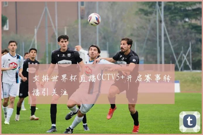 女排世界杯直播CCTV5+开启赛事转播引关注
