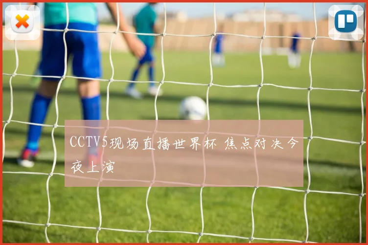 CCTV5现场直播世界杯 焦点对决今夜上演