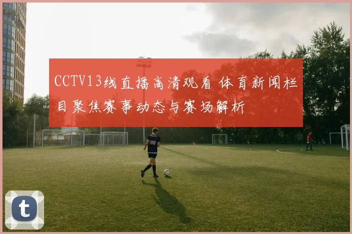 CCTV13线直播高清观看 体育新闻栏目聚焦赛事动态与赛场解析