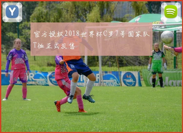 官方授权2018世界杯C罗7号国家队T恤正式发售