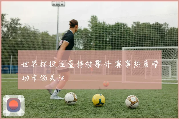 世界杯投注量持续攀升 赛事热度带动市场关注