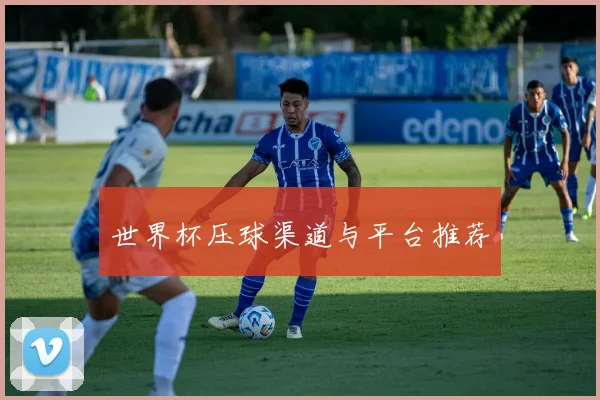 世界杯压球渠道与平台推荐