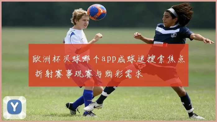 欧洲杯买球哪个app成球迷搜索焦点 折射赛事观赛与购彩需求
