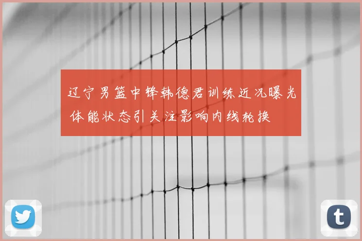 辽宁男篮中锋韩德君训练近况曝光 体能状态引关注影响内线轮换