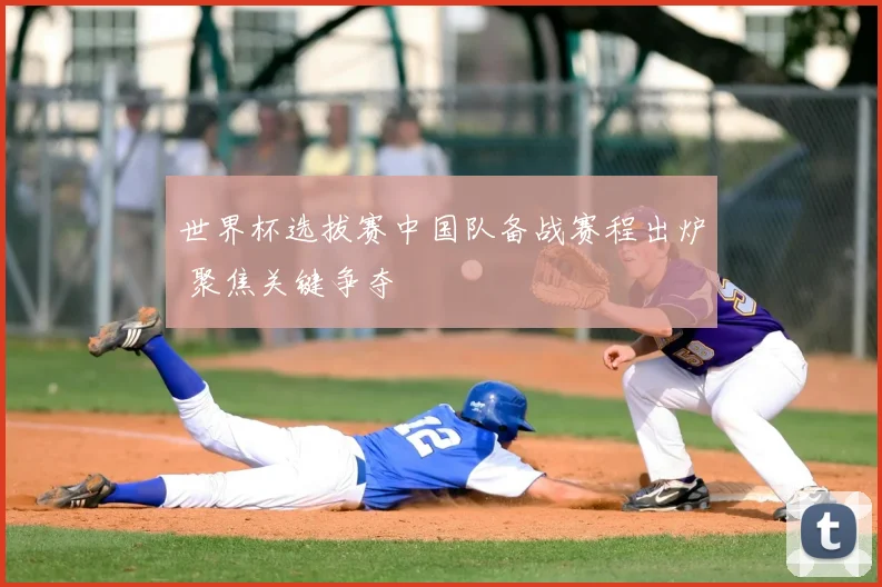 世界杯选拔赛中国队备战赛程出炉 聚焦关键争夺