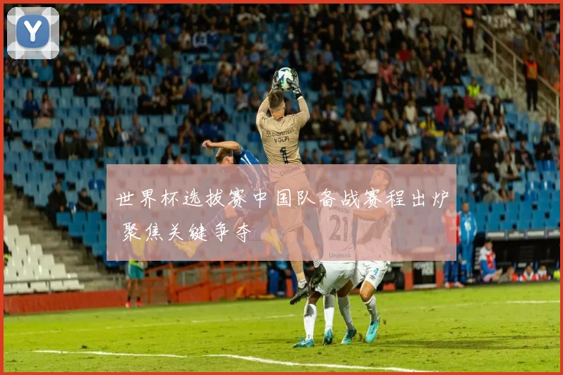 世界杯选拔赛中国队备战赛程出炉 聚焦关键争夺