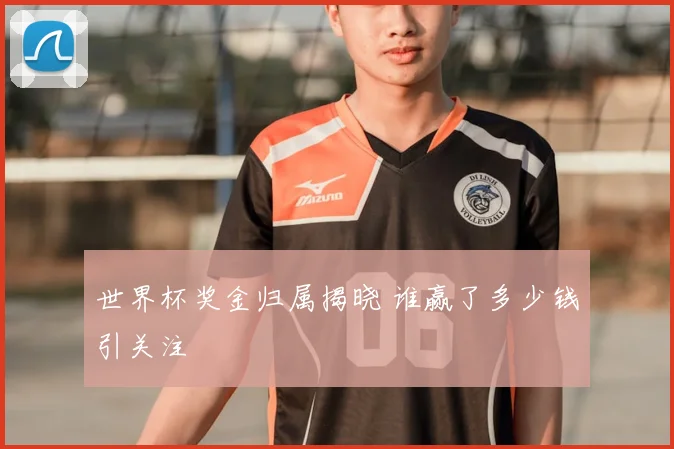 世界杯奖金归属揭晓 谁赢了多少钱引关注