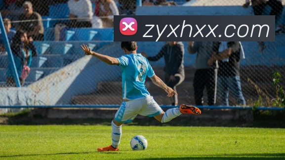数据分析功能